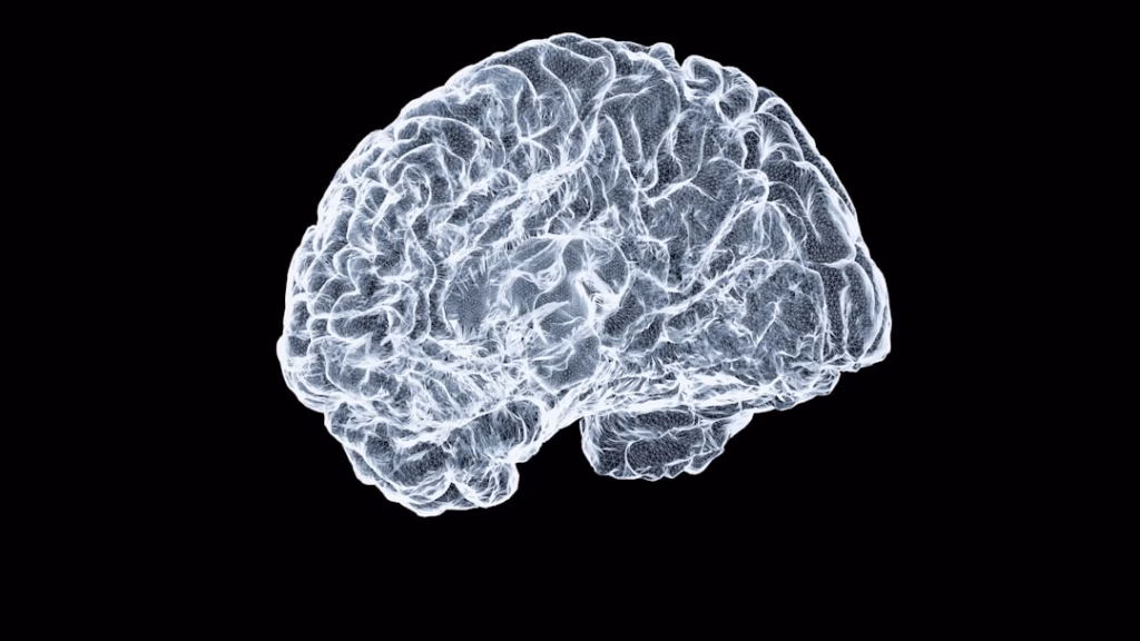 neuromorphic computing change future — brain circuit neural network patterns