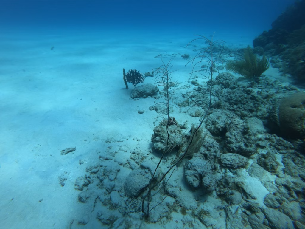 undersea internet cables power — fiber optic cables ocean floor
