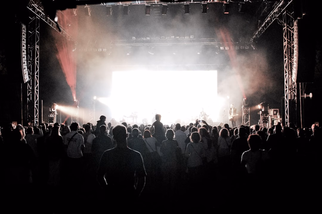 experience economy way consumers — person viewing concert stage lights from crowd perspective
