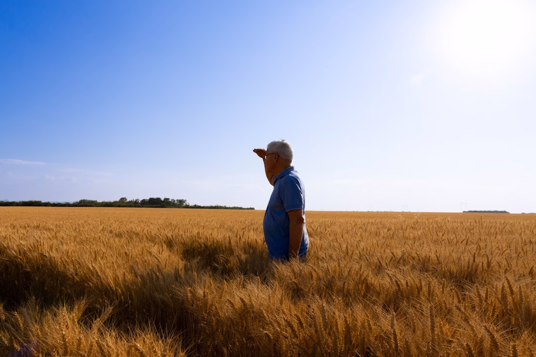 agricultural finance technology-driven — farmer reviewing loan approval on mobile phone in crop field