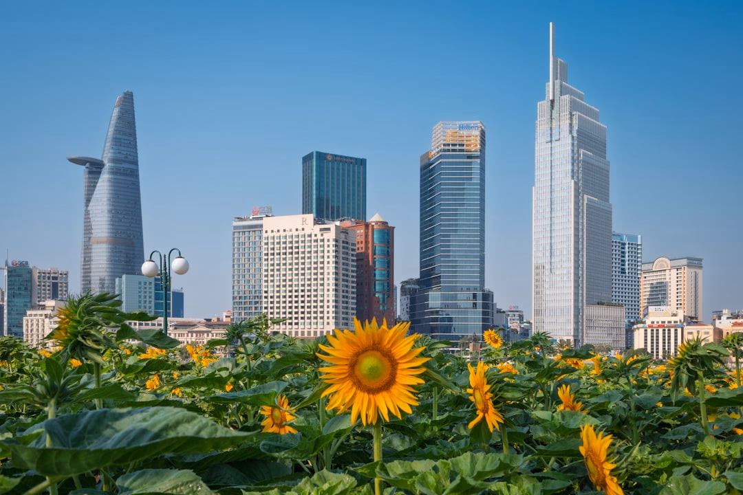 role development finance emerging — green field infrastructure project in developing country